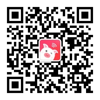 乖猪猪